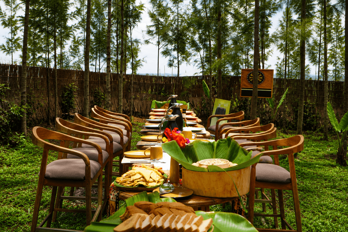 A Feast Beneath the Forest Canopy