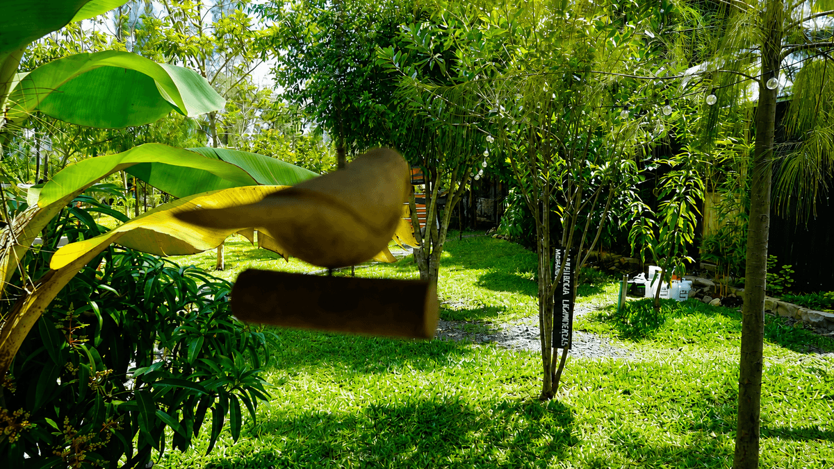 Wellness at Ubuntu: Holistic Healing
